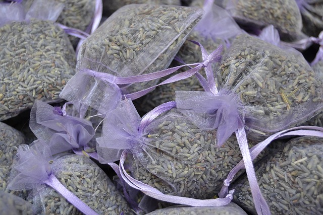 persona organizando carpetas digitales y calendario de trabajo en computador portátil en Chile