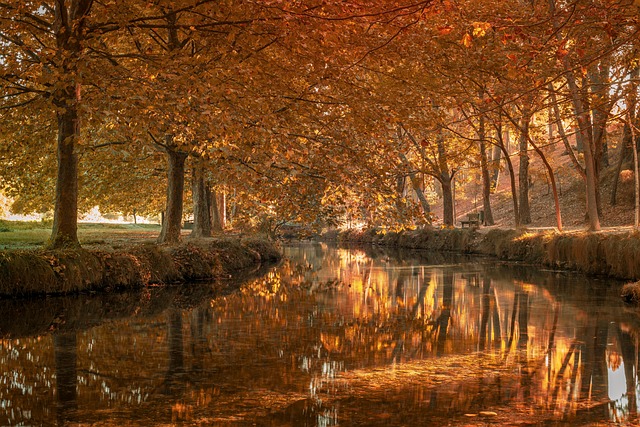 persona en Chile revisando calendario, tareas y documentos en laptop con interfaz de herramientas de oficina